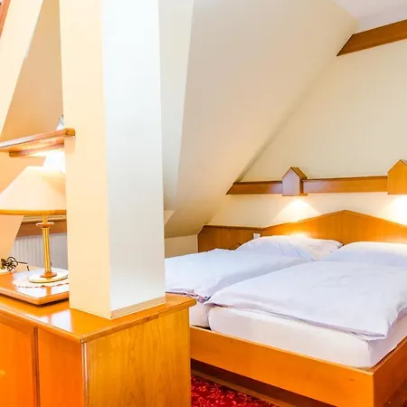 Hotel Pendl 3*