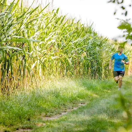 Pendl Hotel Kalsdorf bei Graz