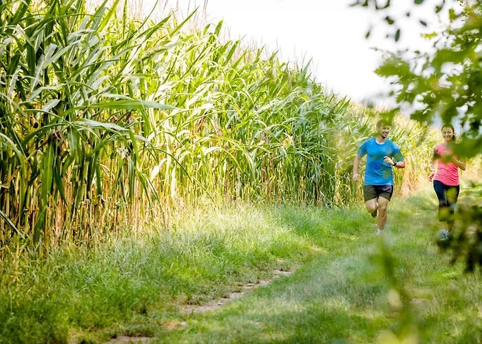 彭德尔酒店 酒店 格拉茨附近卡尔斯多夫